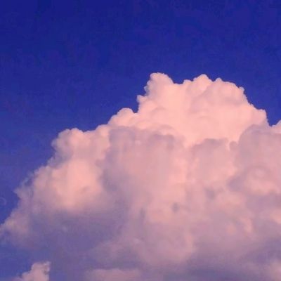 js333金沙线路检测登录入口截图