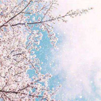 4949澳门免费资料大全app下载