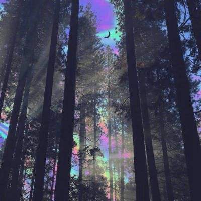 美高梅mgm1888网站截图