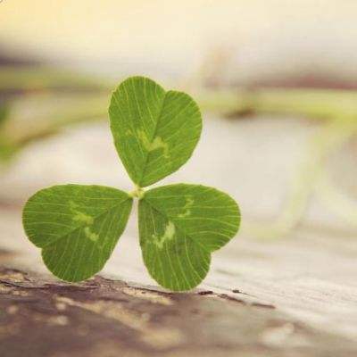 6566体育下载手机版